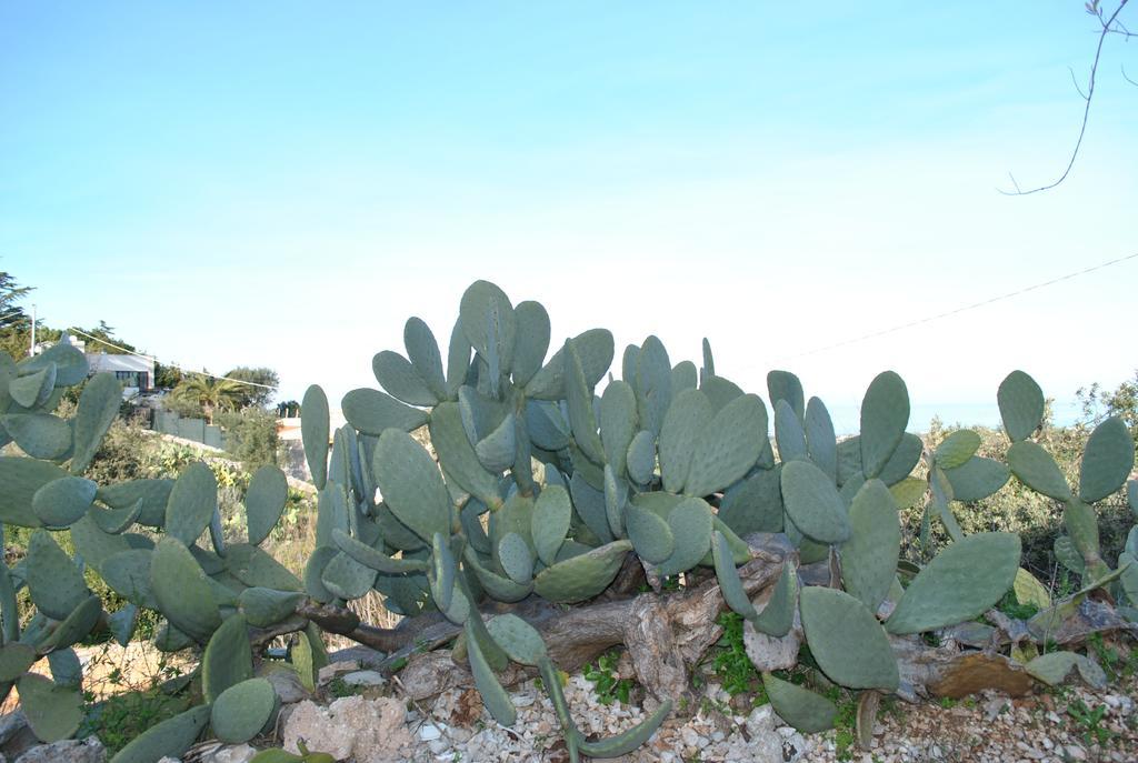 Le Dimore Del Sarto Polignano A Mare Dış mekan fotoğraf